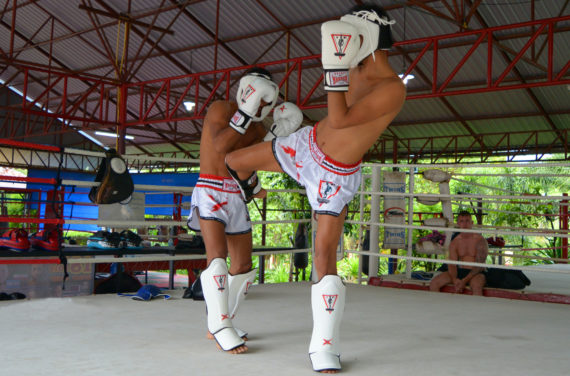 защита для ног spirit of a warrior, защита для ног из таиланда (9)